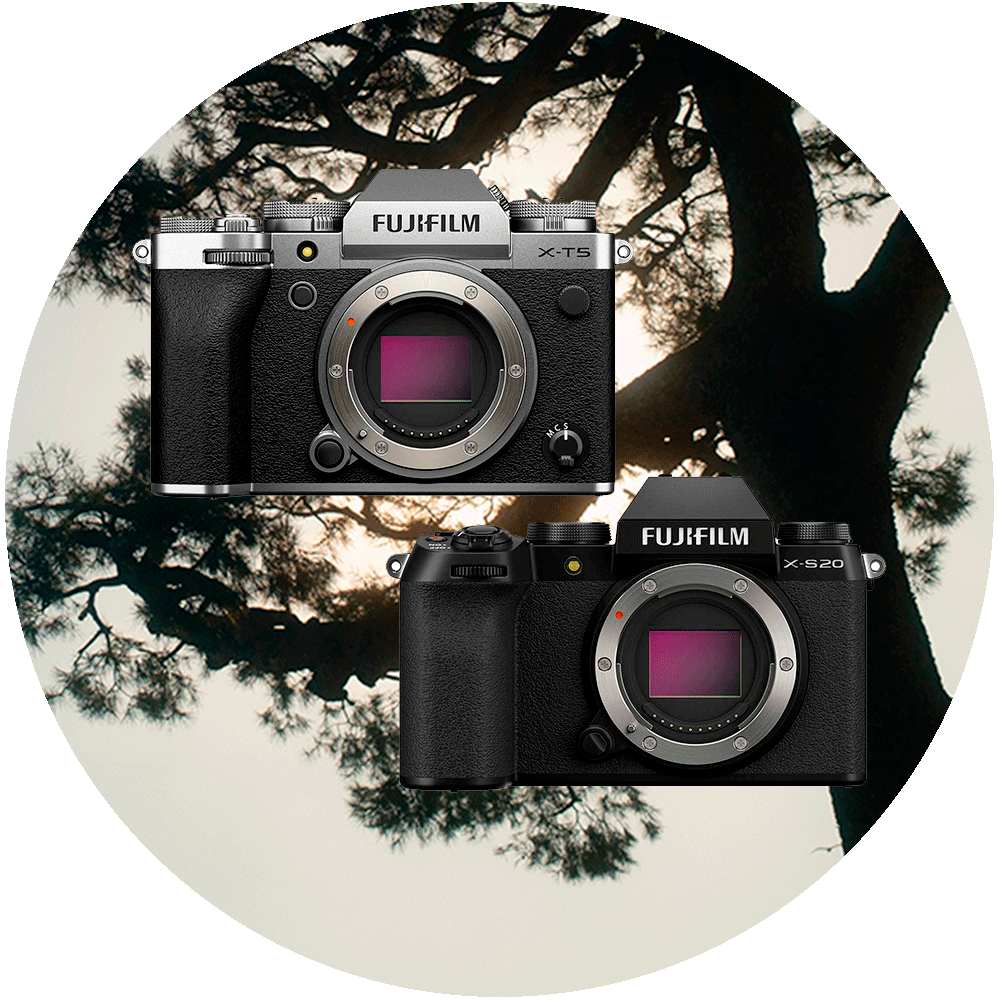 Fujifilm X-T5 + XF 16-80/4 R OIS WR -systemkamera, silver Fujifilm X-T5 + XF 16-80/4 R OIS WR -systemkamera, silver