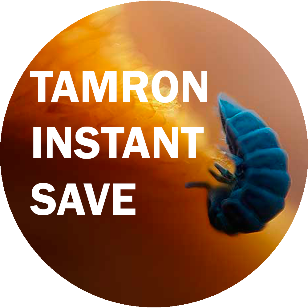 Tamron 90/2.8 Di III Macro VXD, Nikon Z + Nanlite Pavotube II 6C 1-Kit RGBWW