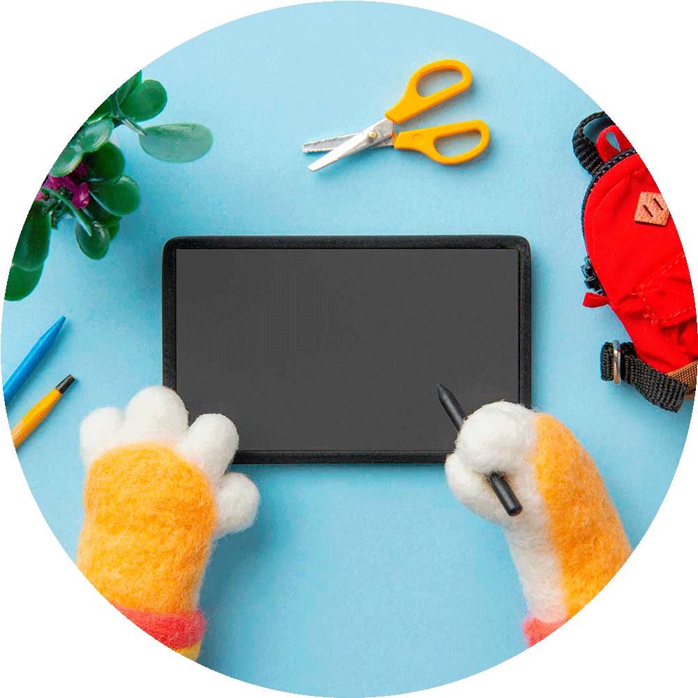 Wacom Cintiq 16 -rittplatta (2025)