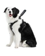 Insta360 Pet Harness Mount Size L