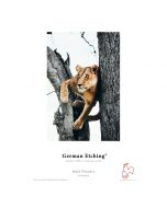 Hahnemuehle German Etching Paper 310gsm A2 / 25