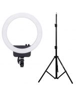 NanLite Halo16 + LS-170