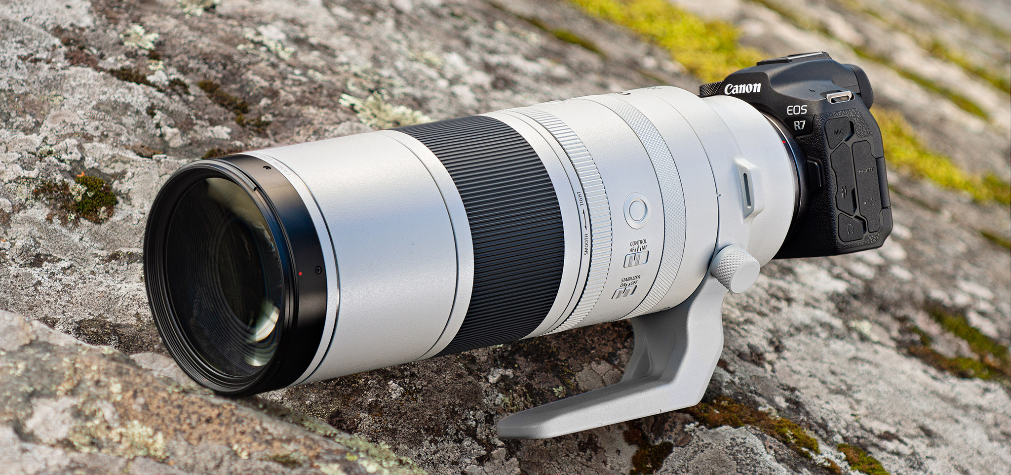 Canon R7 och RF 200-800mm F6.3-9 IS USM under lupp