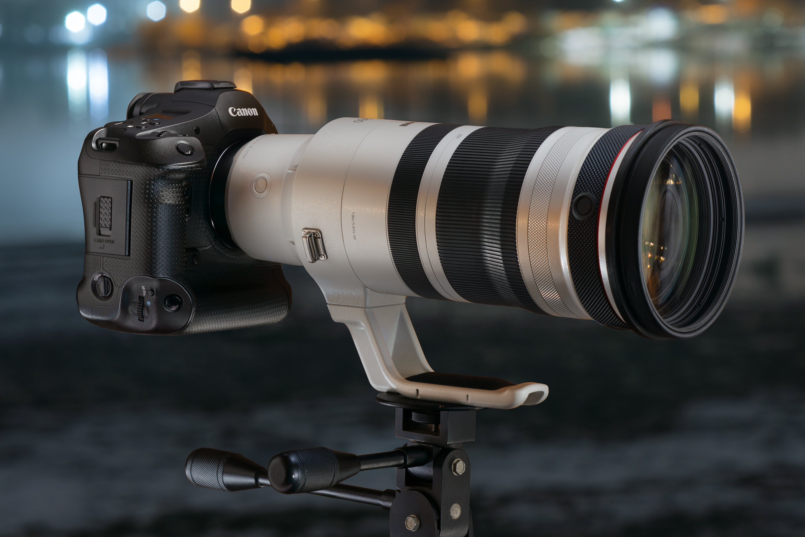 Canon RF 100-300mm F2.8 IS USM under lupp