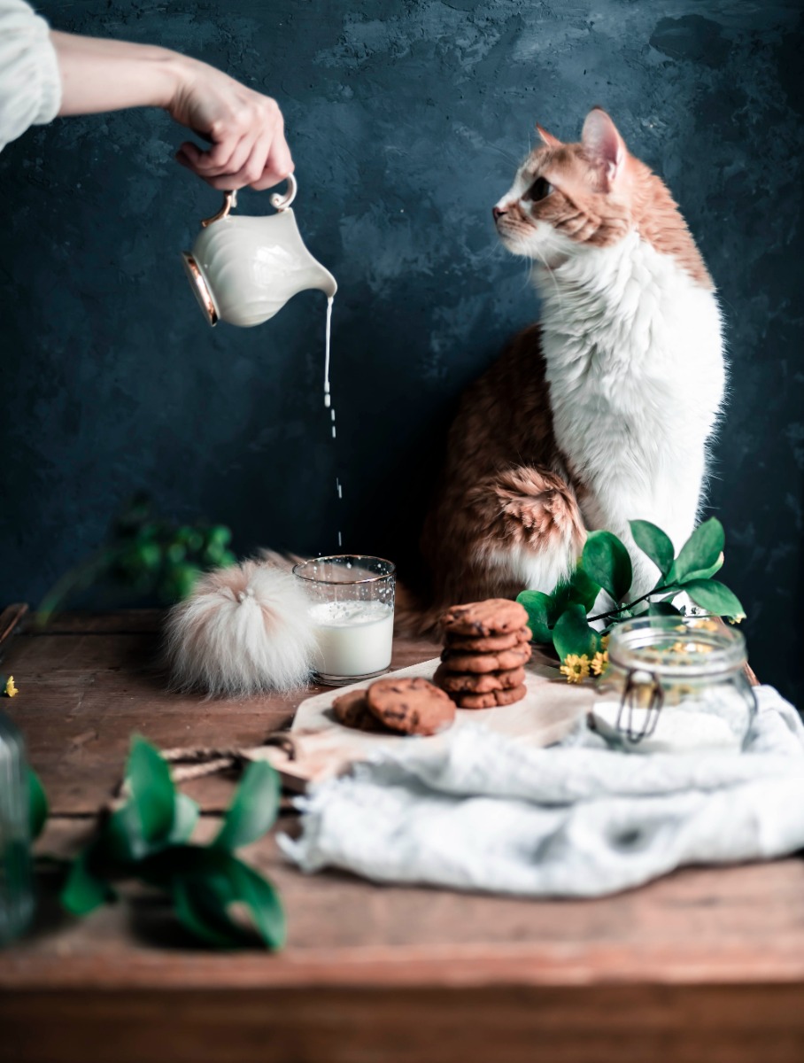 Ela_inkuvaus_sisa_tiloissa_Emma_Ivane_8