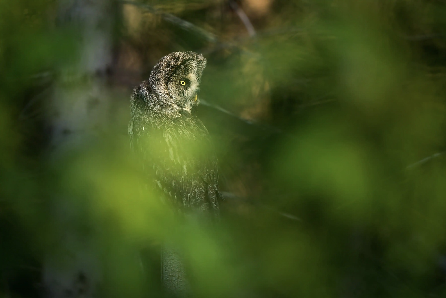 Screenshot_2020-10-07_at_15.37.34