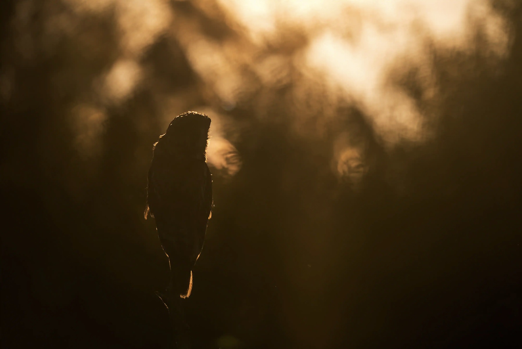 Screenshot_2020-10-07_at_15.40.31