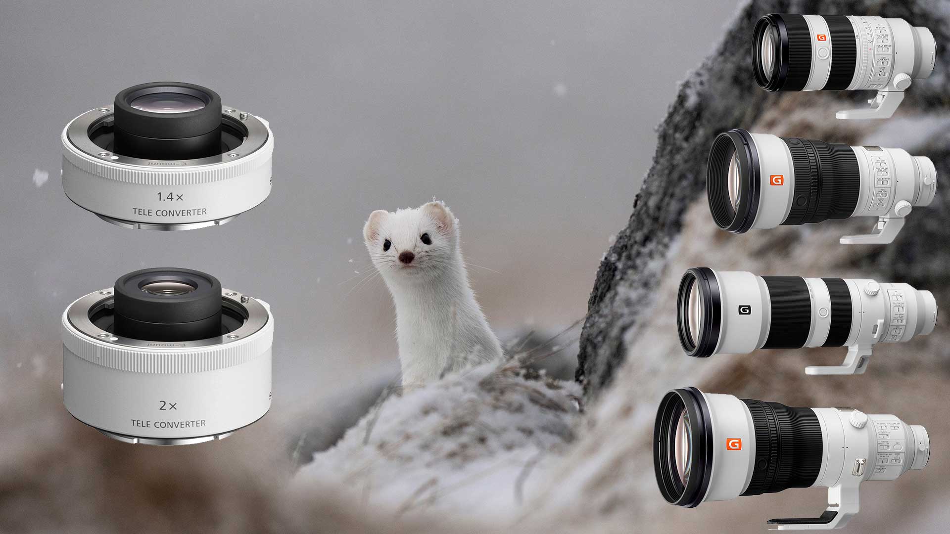 Sony-Telejatke-kampanja